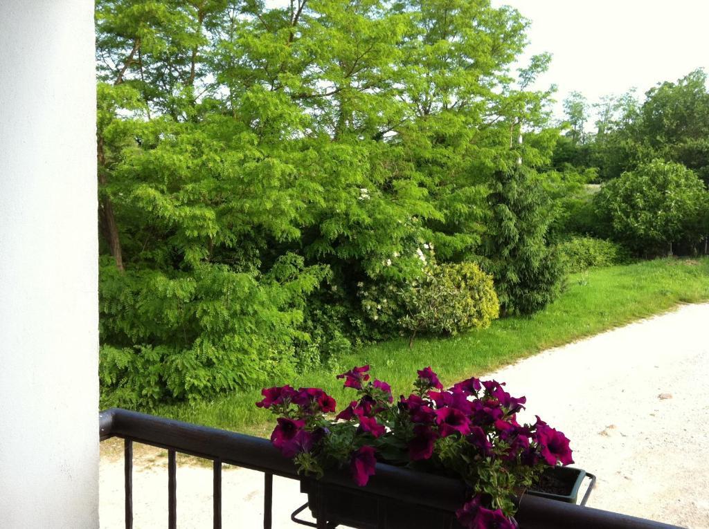 Agriturismo Licensi Del Bresa Villa Monzambano Ruang foto